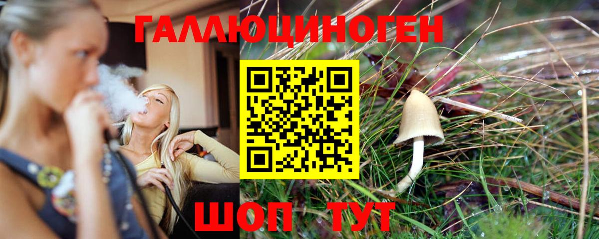 Псилоцибиновые грибы мицелий Сосновоборск