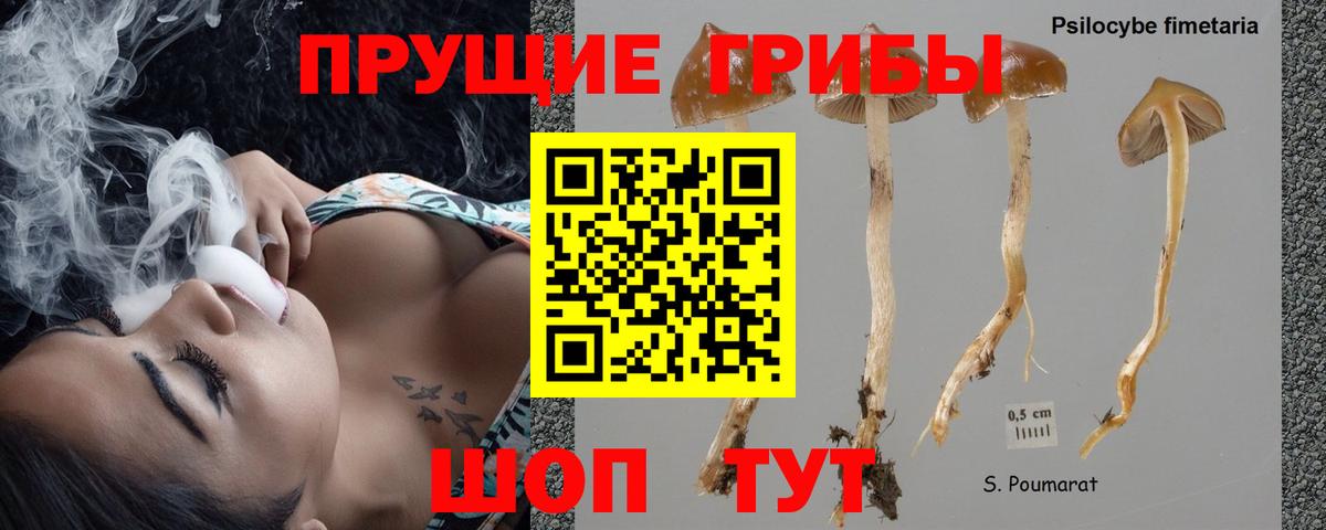 Псилоцибиновые грибы прущие грибы  Псилоцибиновые грибы прущие грибы  наркота  Сосновоборск  Вход с VPN 